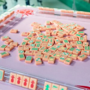 The Mahjong House Salmon Island Tiles