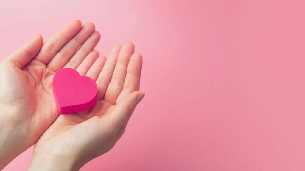 Charitable Organization Support